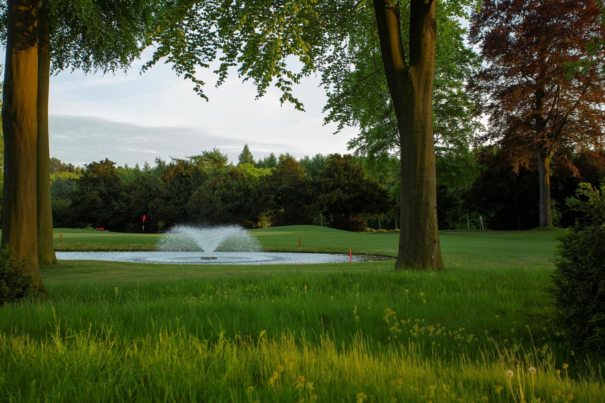 Forest Pines Hotel, Spa & Golf Resort Brigg Luaran gambar