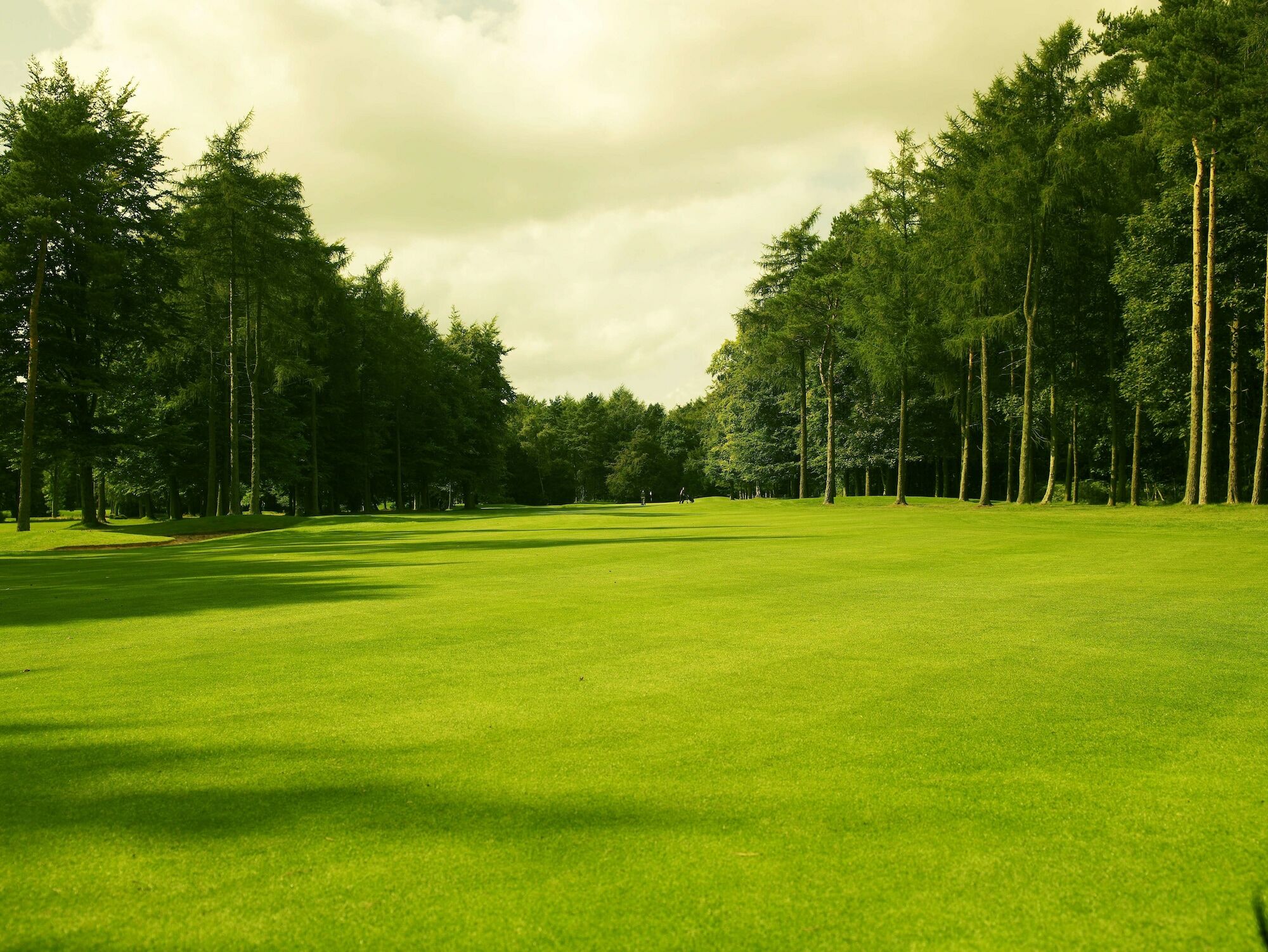 Forest Pines Hotel, Spa & Golf Resort Brigg Luaran gambar